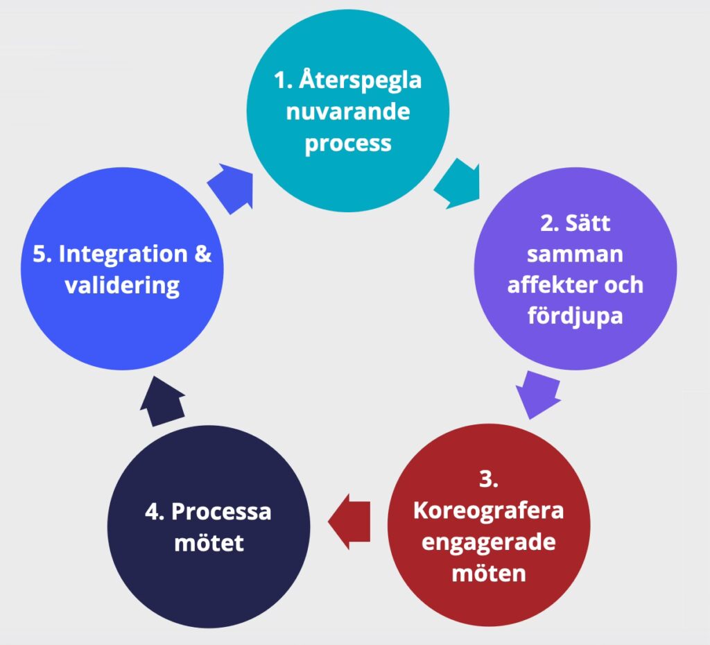 EFT-Tangon. De 5 makrointerventionerna