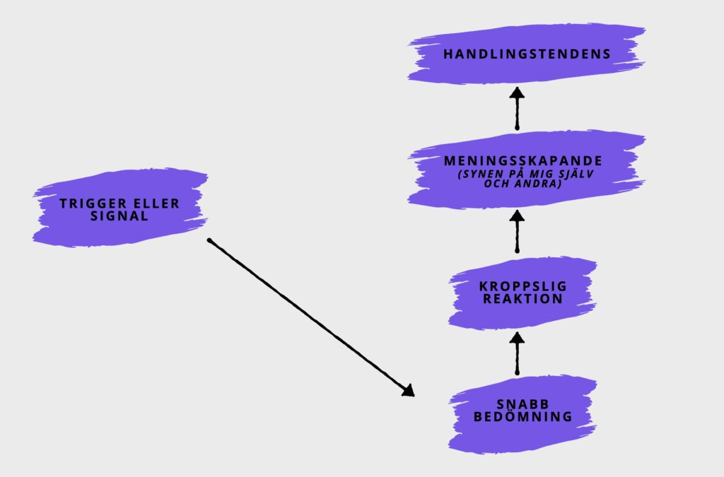 emotionens delar: trigger/signal, snabb bedömning, kroppslig reaktion, meningsskapande, handlingstendens